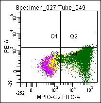 Mouse anti Myeloperoxidase-C2 (MPO-C2), conjugated to FITC