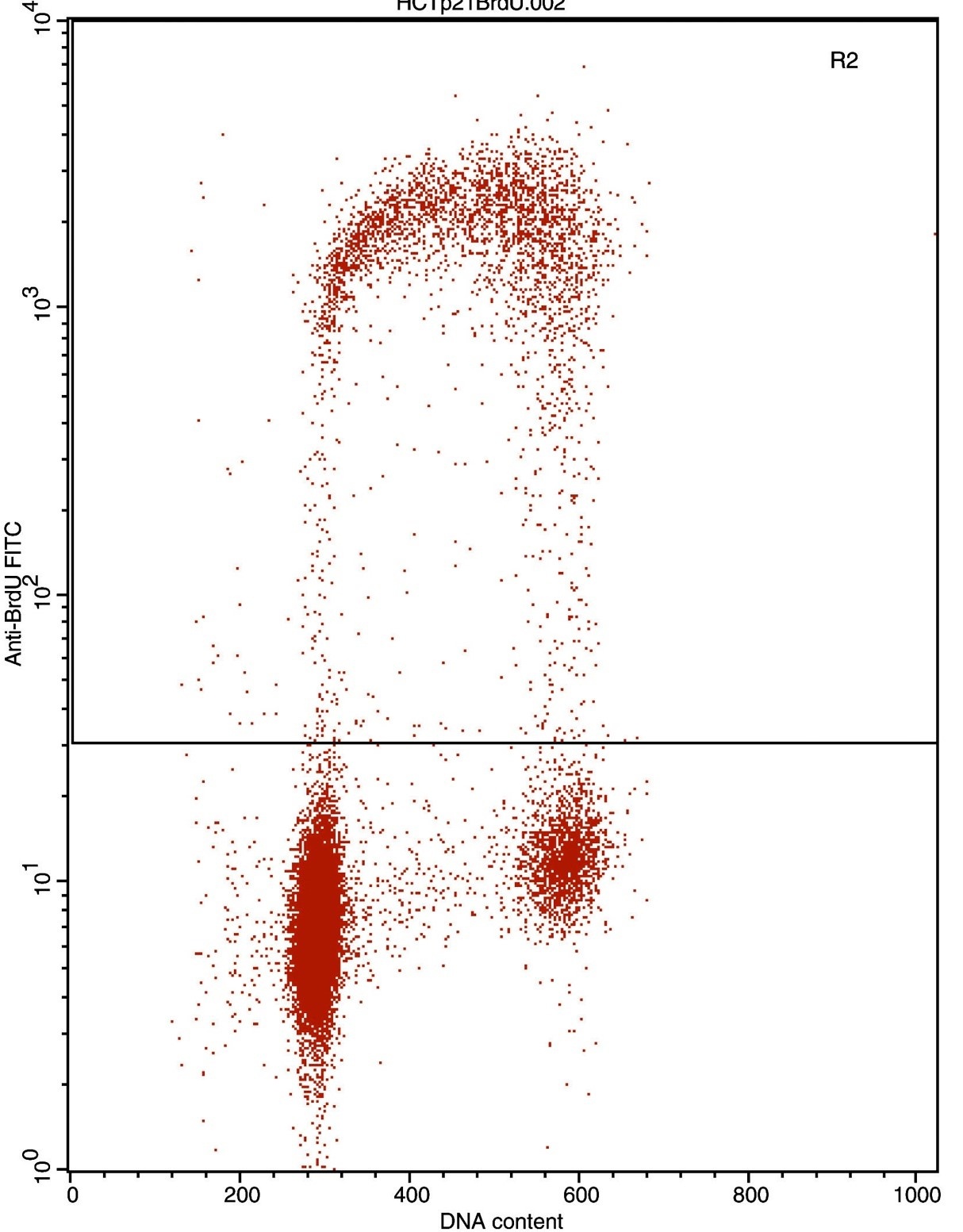 BrdU antibody