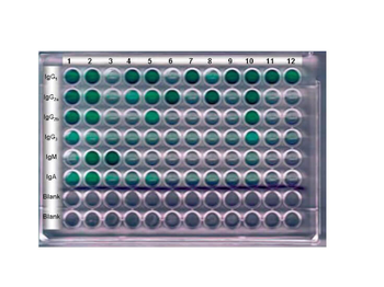 Isotyping Kit