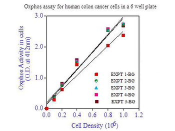 Oxphos Cell Survival Assay Kit