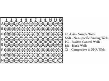 NF-kB (phospho-65) ELISA Kit