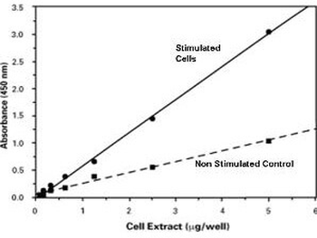 NF-kB (phospho-65) ELISA Kit