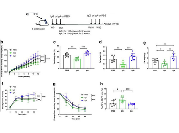 Mouse IgA Kappa isotype Control Antibody