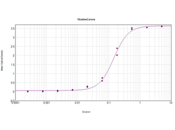 CA1 Antibody (Biotin)