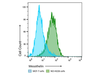 Mesothelin Antibody