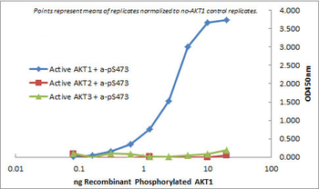 AKT1 FITC Antibody
