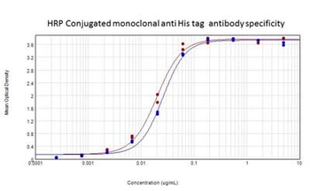 6X His Tag Antibody HRP Conjugated