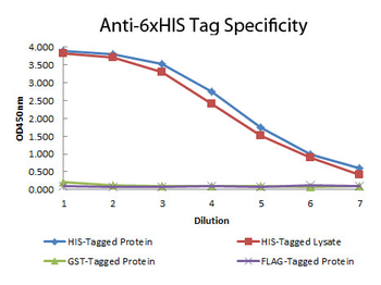 6X His Tag Antibody HRP Conjugated