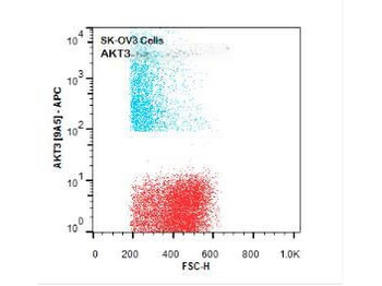 AKT3 APC Antibody