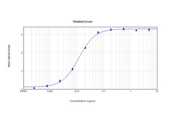 Lysozyme Antibody