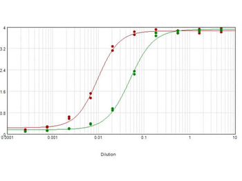 Carbonic Anhydrase II Antibody Peroxidase Conjugated