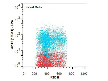 AKT2 APC Antibody