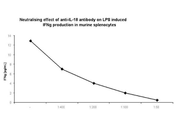 IL-18 Antibody
