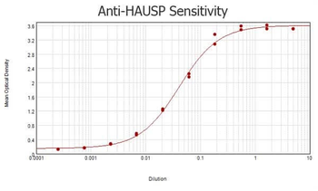 HAUSP Antibody