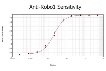 ROBO-1 Antibody