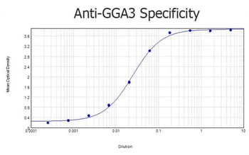 GGA3 Antibody