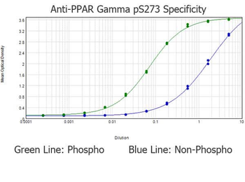 PPAR gamma phospho S273 Antibody