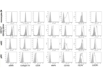 Collagen Type V Antibody Biotin Conjugated