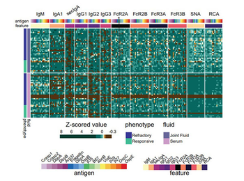 Erpd Control protein