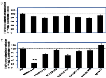 Human IgG Antibody