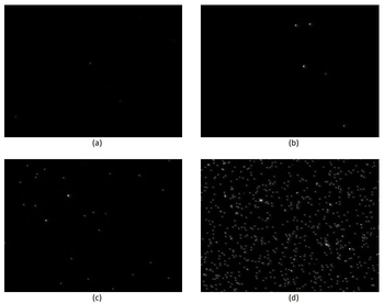 Human IgG Antibody