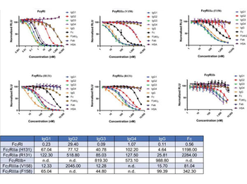 Human IgG Fab Antibody