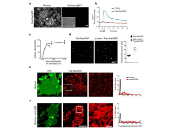 Human IgM (myeloma) Biotin Antibody