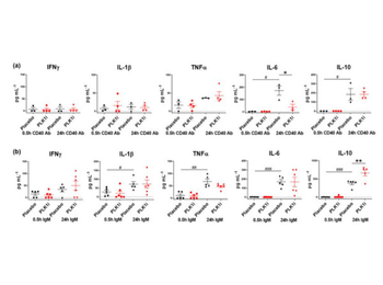 Mouse IgM Antibody
