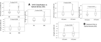Human IgG (H&L) Antibody