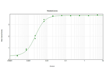 Bovine IgG (H&L) Antibody