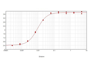Guinea Pig IgG (H&L) Antibody Pre-Adsorbed