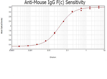 Mouse IgG Fc Antibody