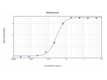 Mouse IgG2a (Gamma 2a chain) Antibody Peroxidase Conjugated