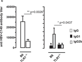 Mouse IgG2b (Gamma 2b chain) Antibody Peroxidase Conjugated