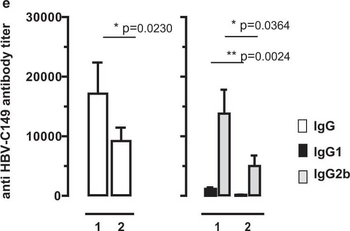 Mouse IgG2b (Gamma 2b chain) Antibody Peroxidase Conjugated
