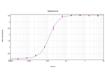 Mouse IgG2b (Gamma 2b chain) Antibody Peroxidase Conjugated