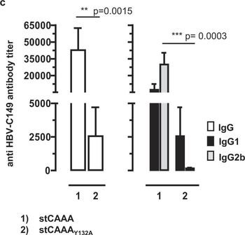 Mouse IgG2b (Gamma 2b chain) Antibody Peroxidase Conjugated