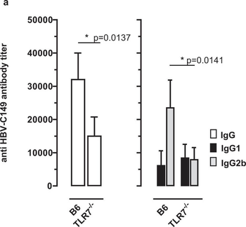 Mouse IgG2b (Gamma 2b chain) Antibody Peroxidase Conjugated