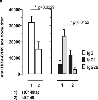 Mouse IgG2b (Gamma 2b chain) Antibody Peroxidase Conjugated