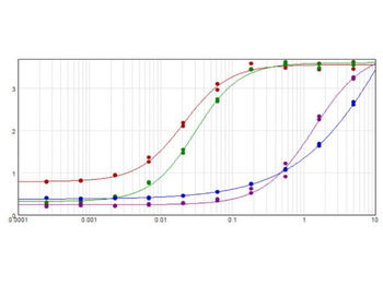 Golden Syrian & Armenian Hamster IgG (H&L) Pre-Adsorbed Antibody