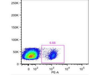 Facs And If Staining Buffer With Bsa
