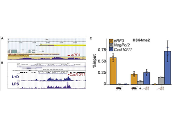 Sepharose Protein A/G
