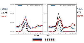 MEK2 C-Term Antibody