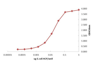 HMW E.Coli Host Cell Proteins Antibody