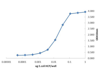 E.coli HCP Antibody