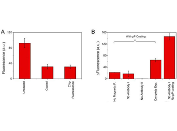 Biotin Antibody