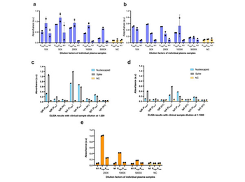 Human IgM mu chain Antibody