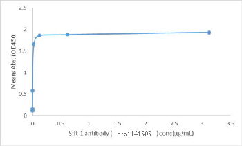 Soluble fms-like Tyrosine Kinase-1(Sflt-1) antibody