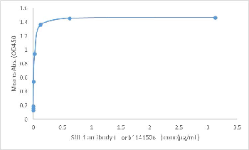 Soluble fms-like Tyrosine Kinase-1(Sflt-1) antibody
