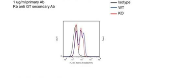 Rgs10 Rabbit Polyclonal Antibody
